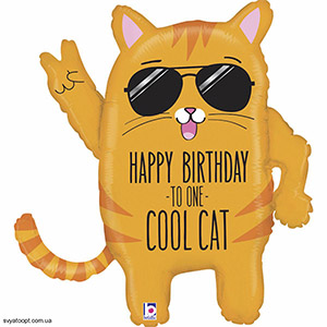 Фигура Классный кот Happy birthday