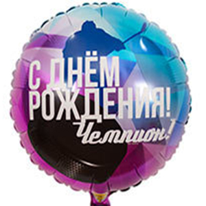 Круг С Др Чемпион Хоккеист