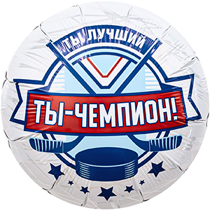 Круг Ты Чемпион Хоккей